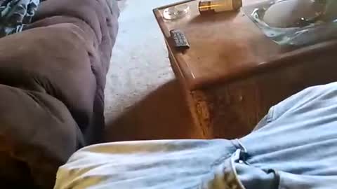 daddysthickbwc8in4u online show from November 6, 2025, 2:07 pm