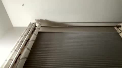 daddyweis online show from September 16, 2025, 2:23 am