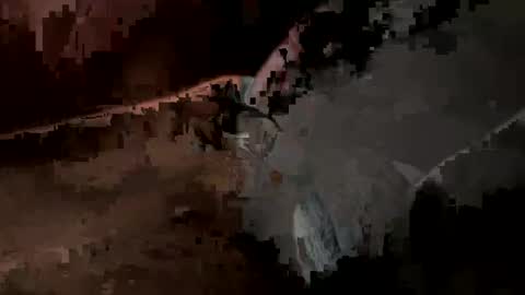 daddywhite88 online show from March 5, 2025, 11:17 am