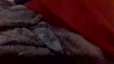 daddywhite88 online show from January 14, 2026, 12:38 am