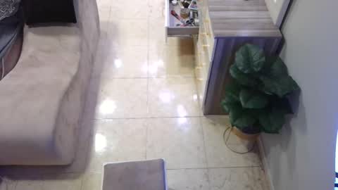 Deffa online show from February 16, 2025, 12:54 pm