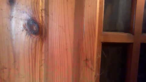 Dahlia and Maddy online show from December 8, 2024, 12:41 pm