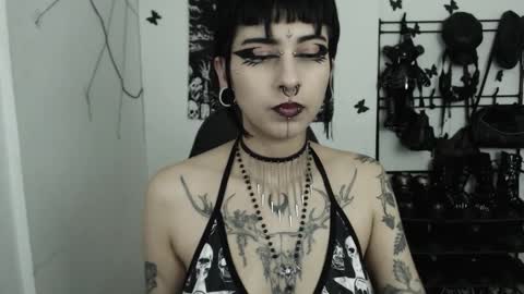 Snapshot of dakota_krall_ chatting on November 12, 2025, 2:12 am dakota online show from November 12, 2025, 2:12 am