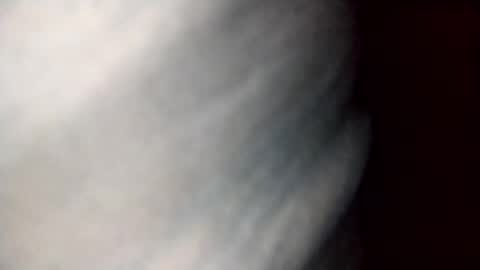 Dalila online show from October 19, 2025, 9:43 am