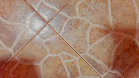         online show from January 14, 2025, 7:27 am