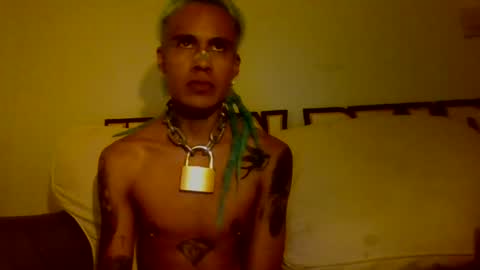 DAM online show from July 24, 2026, 7:17 am
