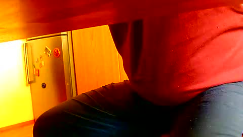 Snapshot of dammerl6 chatting on January 8, 2025, 10:48 am Dammerl online show from January 8, 2025, 10:48 am