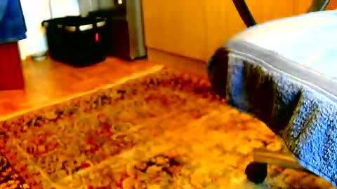 Dammerl online show from December 2, 2025, 1:17 pm