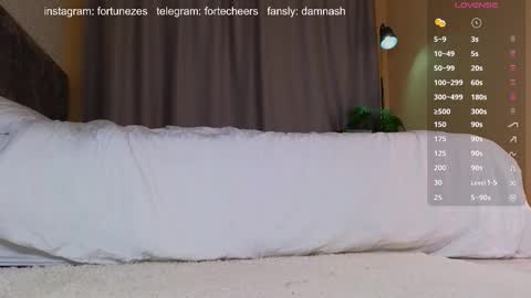 Snapshot of damnash2 chatting on February 11, 2025, 7:16 pm Ashley online show from February 11, 2025, 7:16 pm