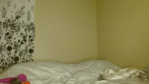 Nova online show from April 8, 2026, 7:41 am