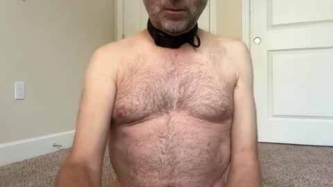 slave being trained online show from June 20, 2026, 2:42 pm
