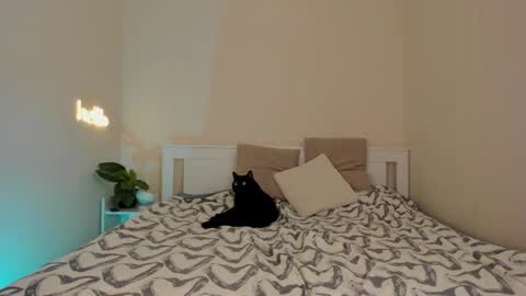 Dana online show from December 1, 2025, 10:15 pm