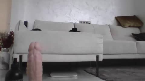 Dan online show from January 15, 2025, 9:13 am