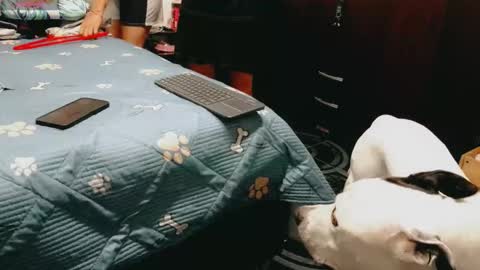 dani y jocelyn online show from February 16, 2026, 7:21 pm