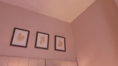 Hi I am Dani online show from May 7, 2026, 11:37 am