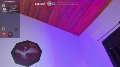 DANIA online show from January 3, 2025, 6:33 am