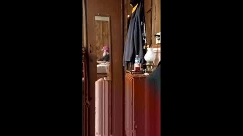 danielgilligan586677889 online show from April 19, 2026, 2:55 am