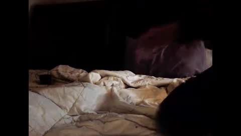 daniellbisous online show from February 11, 2026, 6:29 am