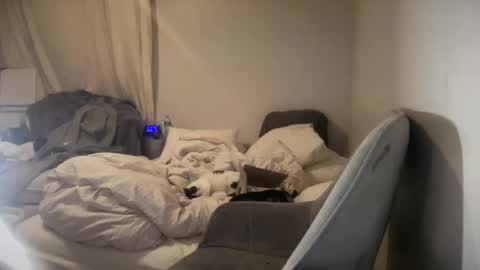 daniellealexa online show from June 27, 2026, 9:58 am