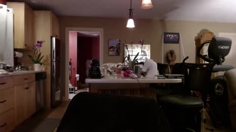 Snapshot of danikawhite69 chatting on February 28, 2025, 7:26 am DanikaWhite69 online show from February 28, 2025, 7:26 am
