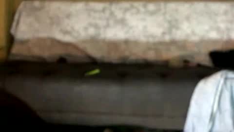 Snapshot of dankshepp chatting on October 12, 2025, 1:04 am dandeb online show from October 12, 2025, 1:04 am