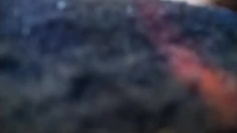 Snapshot of dannowisc chatting on February 20, 2026, 4:09 am dannowisc online show from February 20, 2026, 4:09 am