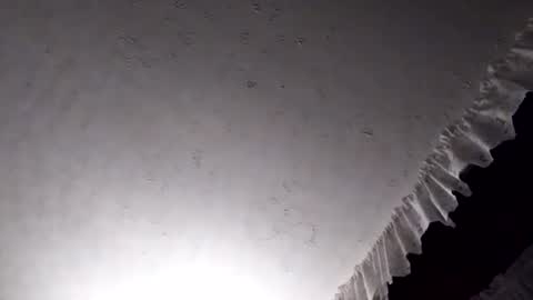 dannowisc online show from April 7, 2026, 2:45 am