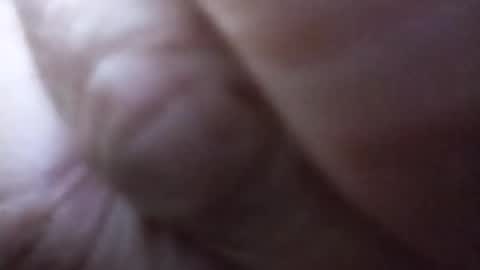 dannowisc online show from June 27, 2026, 3:06 pm