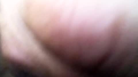 dannowisc online show from July 5, 2026, 11:06 am
