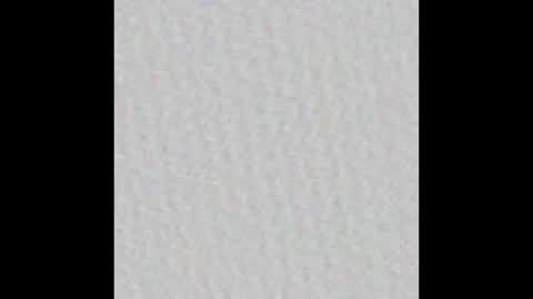 Dannyaa online show from September 19, 2025, 11:55 am