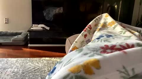 dannyboy621 online show from October 26, 2025, 1:17 pm