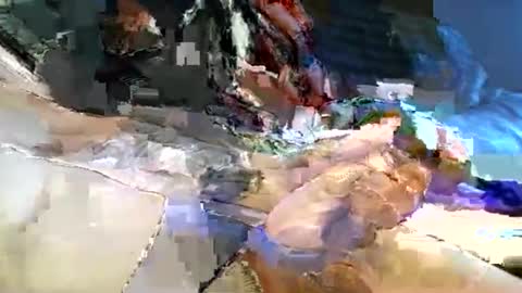 Snapshot of dannytabb1 chatting on November 11, 2025, 5:40 am dannytabb1 online show from November 11, 2025, 5:40 am