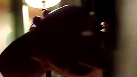 dano9696 online show from November 1, 2025, 10:28 am