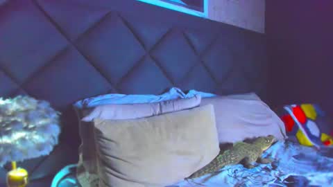 Snapshot of dany_dryy chatting on November 28, 2025, 4:42 pm Dany online show from November 28, 2025, 4:42 pm