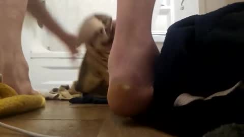 Snapshot of danydevil chatting on November 25, 2025, 4:56 am danydevil online show from November 25, 2025, 4:56 am