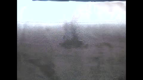 Snapshot of danyvdh chatting on December 13, 2024, 8:51 am danyvdh online show from December 13, 2024, 8:51 am