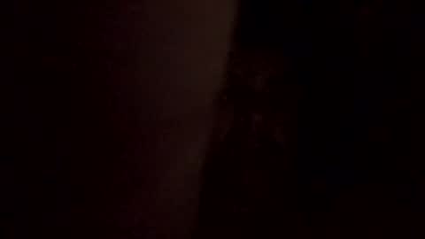 dapoolcleaner online show from January 17, 2025, 7:49 pm