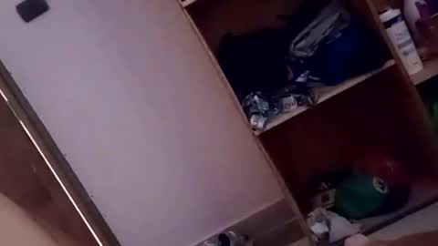 Snapshot of dario1127 chatting on October 13, 2025, 1:33 pm dario1127 online show from October 13, 2025, 1:33 pm