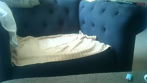 DarkAngel online show from January 8, 2025, 9:01 pm