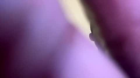 Snapshot of dasquirtmaster chatting on May 23, 2026, 6:56 pm dasquirtmaster online show from May 23, 2026, 6:56 pm
