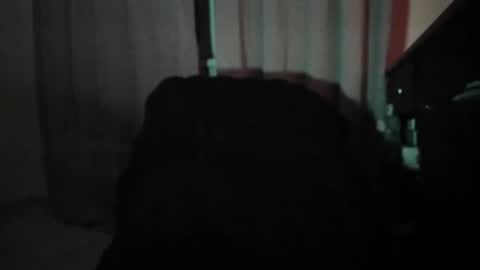 dave or nate online show from November 12, 2025, 1:06 am