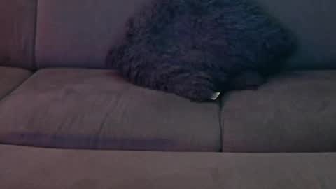 Sophie  Dave online show from January 8, 2025, 12:49 am