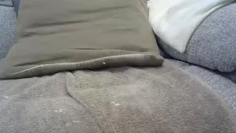 Snapshot of davesmiff1 chatting on January 30, 2025, 7:48 pm davesmiff1 online show from January 30, 2025, 7:48 pm