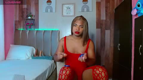 Noha online show from February 23, 2026, 7:22 pm