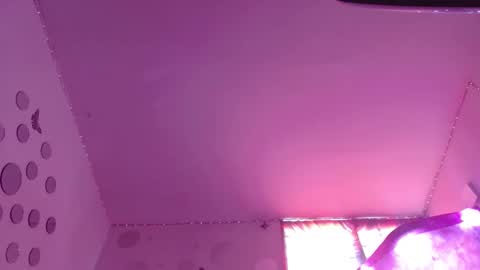 Snapshot of david_fox01 chatting on November 12, 2025, 7:13 pm David Fox online show from November 12, 2025, 7:13 pm