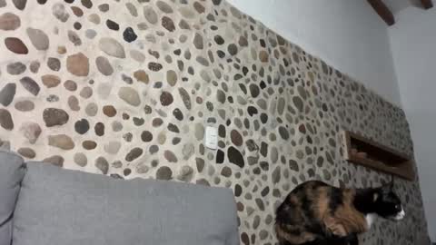 Snapshot of david_muller_ chatting on October 1, 2025, 3:45 am David online show from October 1, 2025, 3:45 am