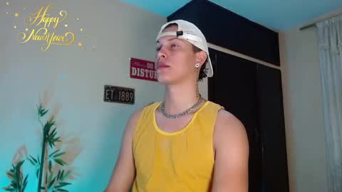 Snapshot of david_neill chatting on January 1, 2025, 8:47 pm David Neill online show from January 1, 2025, 8:47 pm