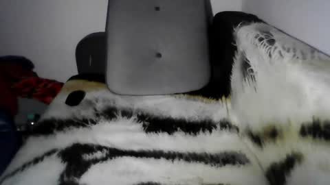 David online show from May 19, 2026, 1:56 am