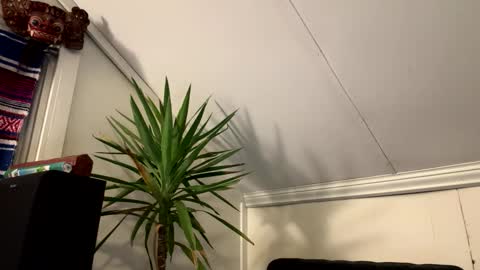 dayblue online show from March 2, 2026, 2:58 am