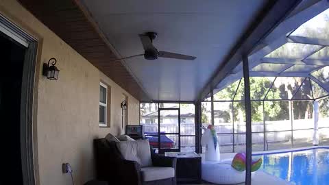 Snapshot of dazeydo chatting on January 7, 2026, 8:55 pm Dazey online show from January 7, 2026, 8:55 pm